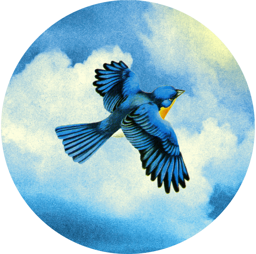 Forma-Icon-Bird